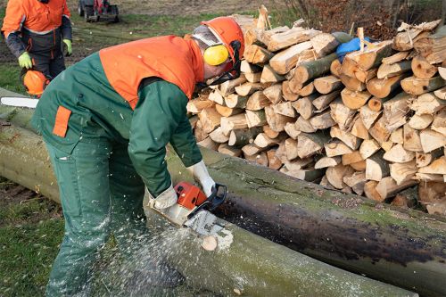 Foto: Person beim Holzschneiden